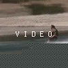 video-wakeboarding-wakeskating-photos.mp4