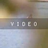 video-wakeboarding-wakeskating-photos.mp4