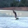 video-wakeboarding-wakeskating-photos.mp4