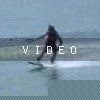 video-wakeboarding-wakeskating-photos.mp4
