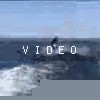 video-wakeboarding-wakeskating-photos.mp4