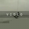 video-wakeboarding-wakeskating-photos.mp4