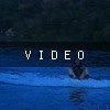 video-wakeboarding-wakeskating-photos.mp4