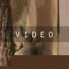 video-wakeboarding-wakeskating-photos.mp4