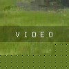 video-wakeboarding-wakeskating-photos.mp4