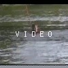 video-wakeboarding-wakeskating-photos.mp4