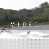 video-wakeboarding-wakeskating-photos.mp4