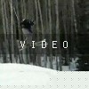 video-wakeboarding-wakeskating-photos.mp4