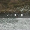 video-wakeboarding-wakeskating-photos.mp4