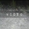 video-wakeboarding-wakeskating-photos.mp4