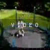 video-wakeboarding-wakeskating-photos.mp4