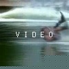 video-wakeboarding-wakeskating-photos.mp4