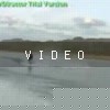 video-wakeboarding-wakeskating-photos.mp4