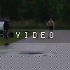 video-wakeboarding-wakeskating-photos.mp4