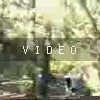 video-wakeboarding-wakeskating-photos.mp4