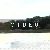 video-wakeboarding-wakeskating-photos.mp4