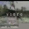 video-wakeboarding-wakeskating-photos.mp4