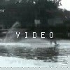 video-wakeboarding-wakeskating-photos.mp4