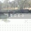 video-wakeboarding-wakeskating-photos.mp4