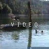 video-wakeboarding-wakeskating-photos.mp4