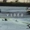 video-wakeboarding-wakeskating-photos.mp4