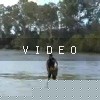 video-wakeboarding-wakeskating-photos.mp4