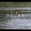 video-wakeboarding-wakeskating-photos.mp4