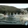 video-wakeboarding-wakeskating-photos.mp4