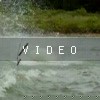 video-wakeboarding-wakeskating-photos.mp4