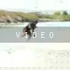 video-wakeboarding-wakeskating-photos.mp4