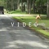 video-wakeboarding-wakeskating-photos.mp4