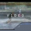 video-wakeboarding-wakeskating-photos.mp4