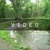 video-wakeboarding-wakeskating-photos.mp4