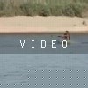 video-wakeboarding-wakeskating-photos.mp4