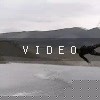 video-wakeboarding-wakeskating-photos.mp4
