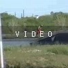 video-wakeboarding-wakeskating-photos.mp4