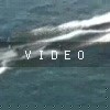 video-wakeboarding-wakeskating-photos.mp4