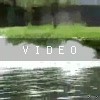video-wakeboarding-wakeskating-photos.mp4