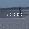 video-wakeboarding-wakeskating-photos.mp4