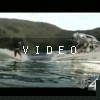 video-wakeboarding-wakeskating-photos.mp4