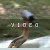 video-wakeboarding-wakeskating-photos.mp4