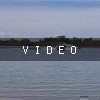 video-wakeboarding-wakeskating-photos.mp4