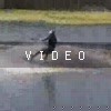 video-wakeboarding-wakeskating-photos.mp4