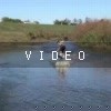 video-wakeboarding-wakeskating-photos.mp4