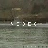 video-wakeboarding-wakeskating-photos.mp4