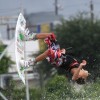 wp5-wakeboarding-wakeskating-photos.jpg