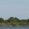 yeah-wakeboarding-wakeskating-photos.jpg