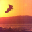 jesse_m_120208
