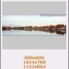 Backgrounds