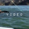 VIDEO: Crashing Across The Wake